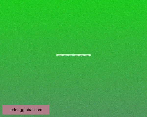 乐动体育最新入口带你体验全新在线体育娱乐平台畅享无限精彩